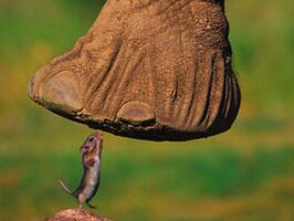 Seven Lessons for Navigating the Storm