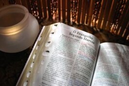 Mixing Open Source and Proprietary Software Strategies