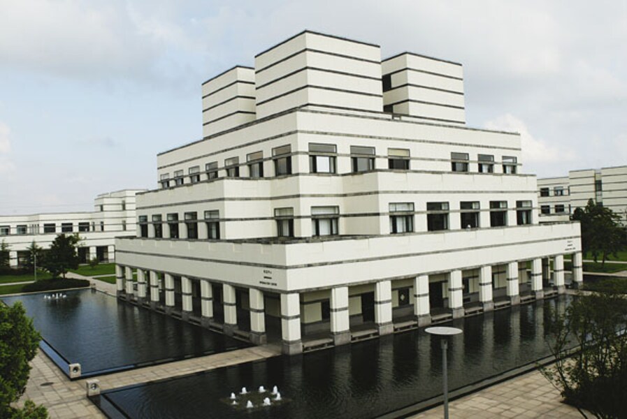 A Quick Guide to AMPs