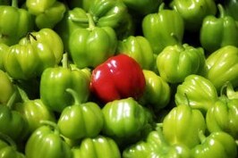 Modern Indian Art: The Birth of a Market