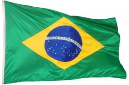 Modern Indian Art: The Birth of a Market