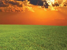 Follow The Golden Rules of Online Reputation Management