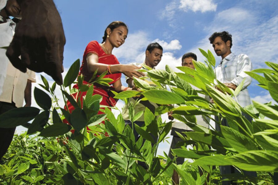 Back To The Roots For Andhra Pradesh Farmers