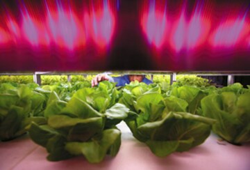 3 Scientific Breakthroughs That Could Change Our Lives