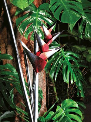 mg_49402_heliconia_280x210.jpg