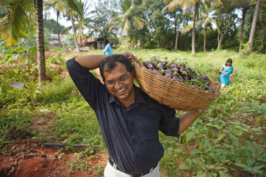 Bt Brinjal and India's Wake-up Call