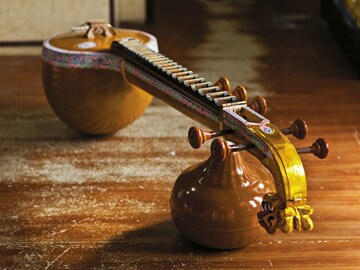 The Last Notes Of The Thanjavur Veena