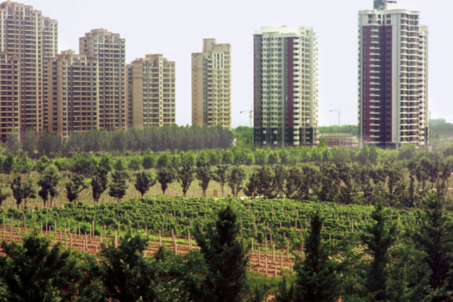 China's Oldest and Biggest Winery Looks to the Future