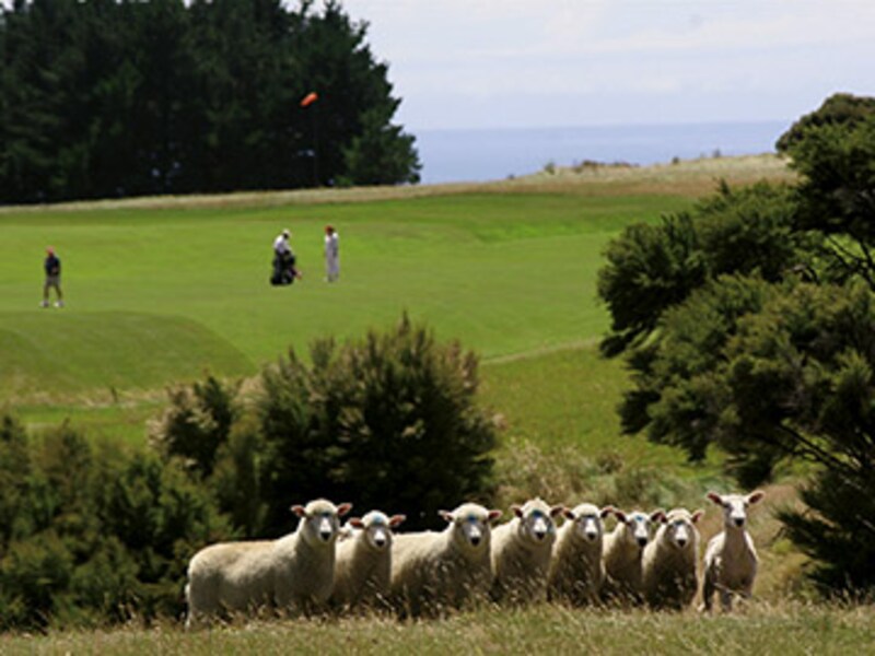 Julian Robertson's Empire of Golf Resorts in New Zealand