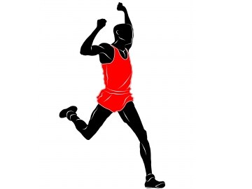 The Business of Sport