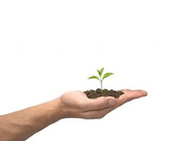 The High Risks of Short-Term Management