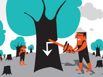 Forests Are Still Vanishing, But At A Slower Rate