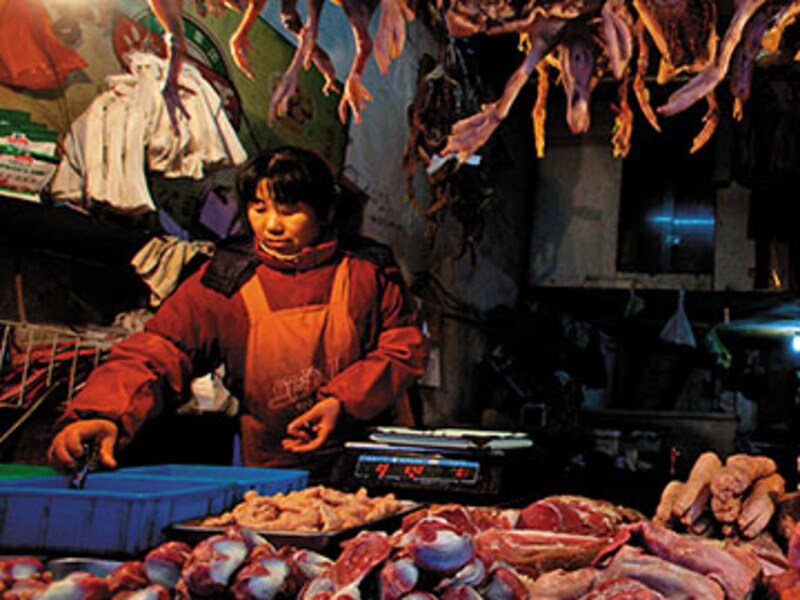 The Food Route to China