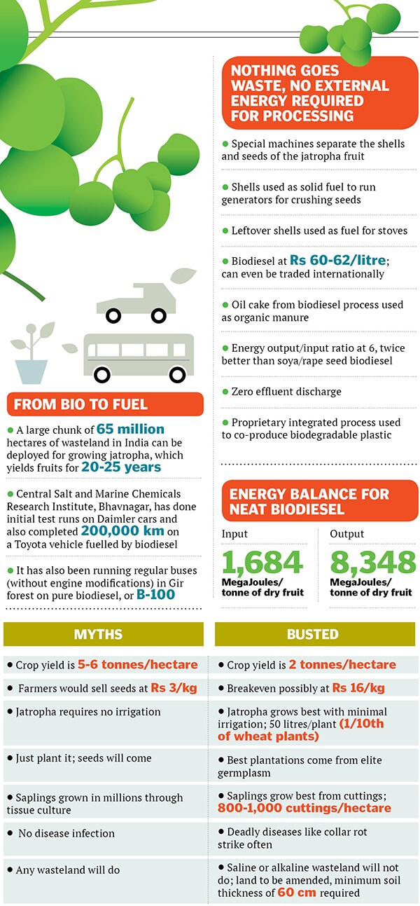 mg_71803_bio_fuel_280x210.jpg