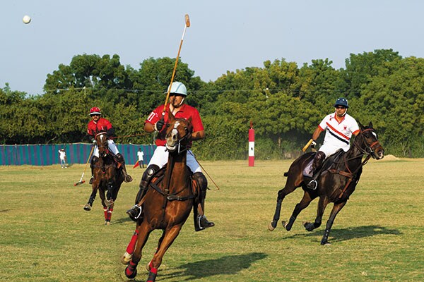 mg_73783_polo_280x210.jpg