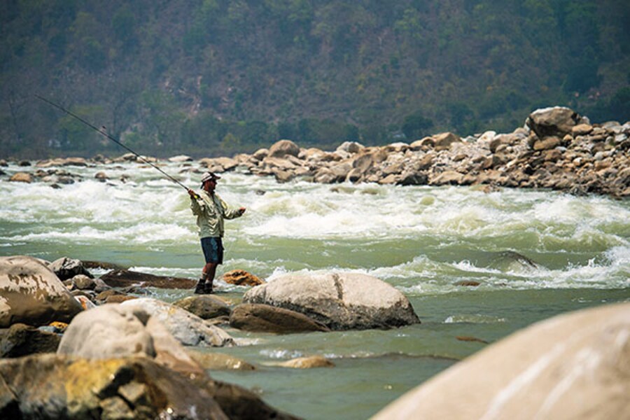 Taming The Golden Mahseer In The Himalayas