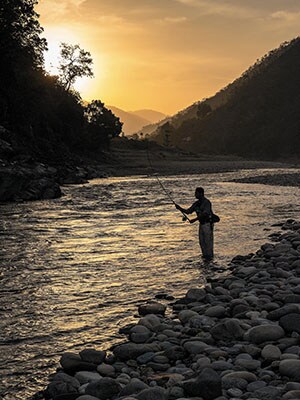 Taming The Golden Mahseer In The Himalayas