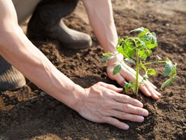 The promotion that makes you feel bad