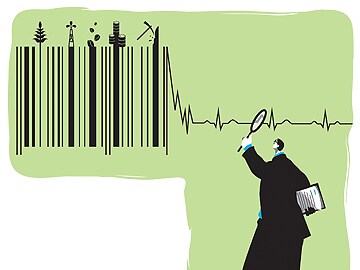 What the volatile markets really mean