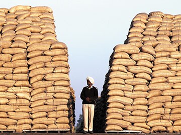 Mallika Srinivasan: A brilliant opportunity to overtake China