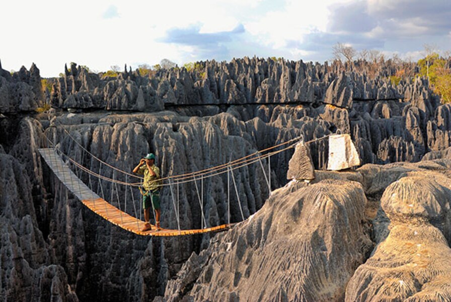 Madagascar's unique wildlife