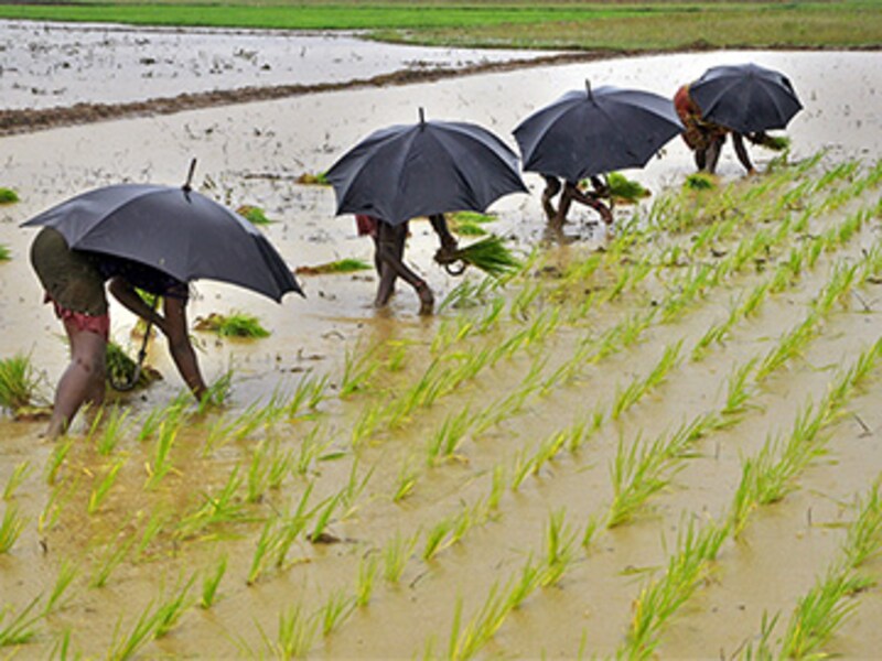 Improved monsoon could add 50 bps to GDP: BNP Paribas Research