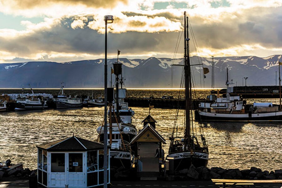 Whale-watching in Iceland