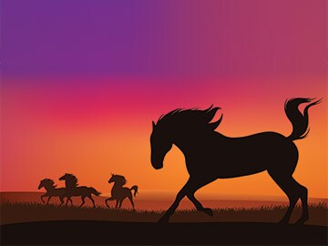 Finding the next billion-dollar company