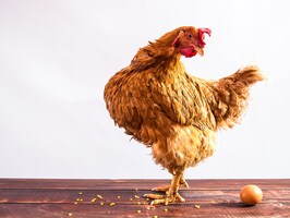 Can innovation save us from ourselves?