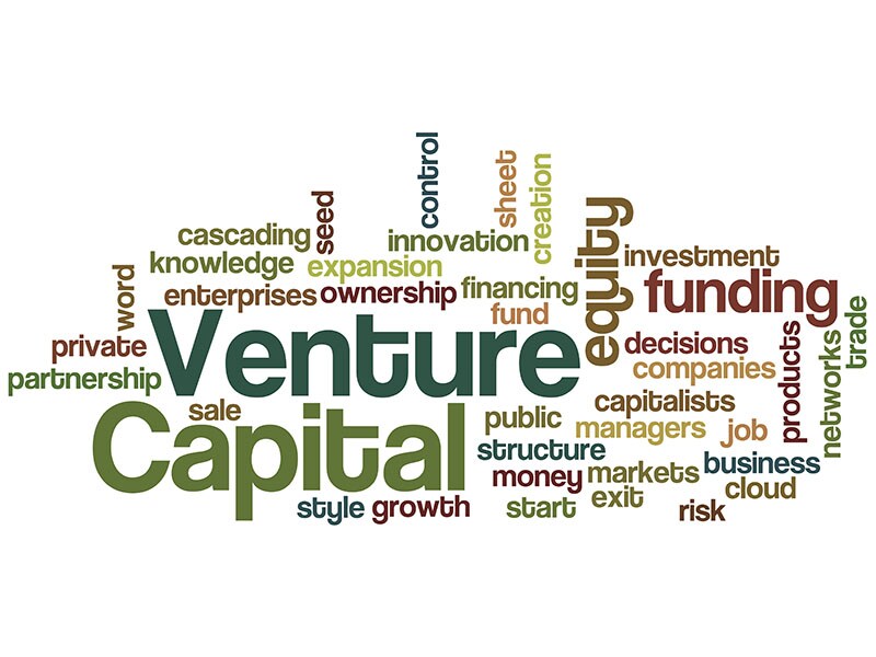 Thirty years of Indian VC - A bystander's reflection