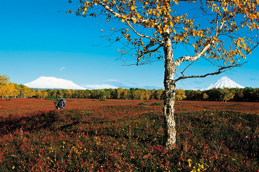 mg_92397_kamchatka_autumn_tundra_280x210.jpg