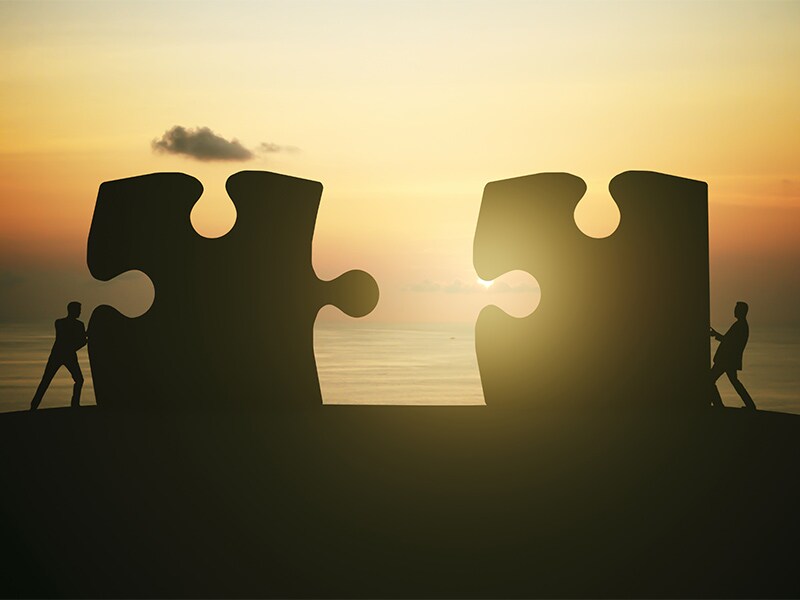 HDFC Life-Max Life merger decision likely on July 17