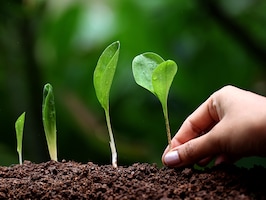 You are a brand. What's your tagline?