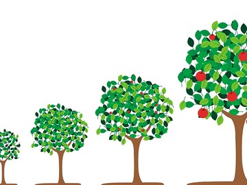 Unitus Seed Fund's investees touch 1.2 million lives in India