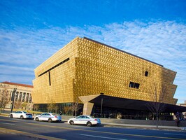 How we rationalize bad choices