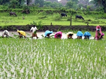 Budget 2018: Agriculture matters, but how much?