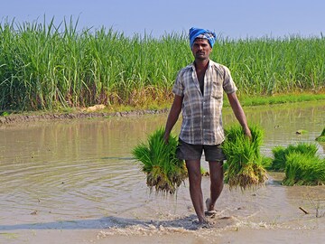 Misaligned agriculture: A major source of India's water problems