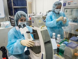 Why artificial intelligence isn't a sure thing to increase productivity