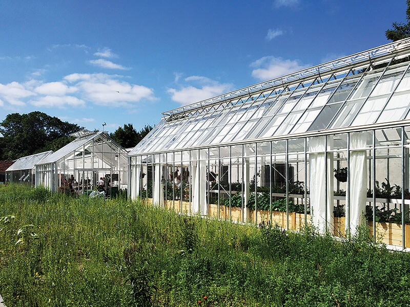 To eat or not to eat, that is not the question