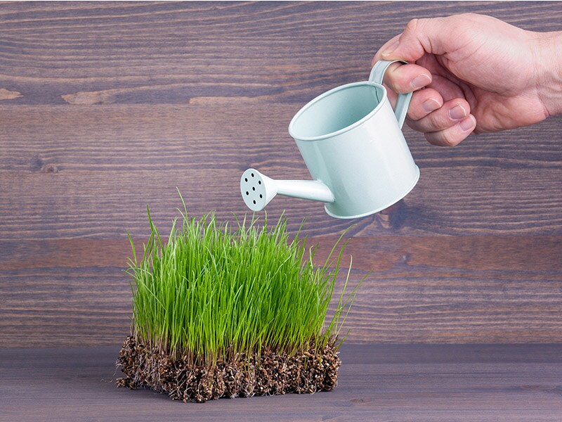 AI: Where does India stand?