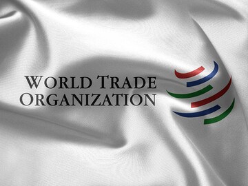 Stretched to breaking point: WTO is becoming dysfunctional