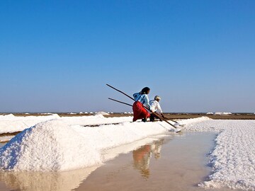 Gujarat salt industry hit by US-China trade war