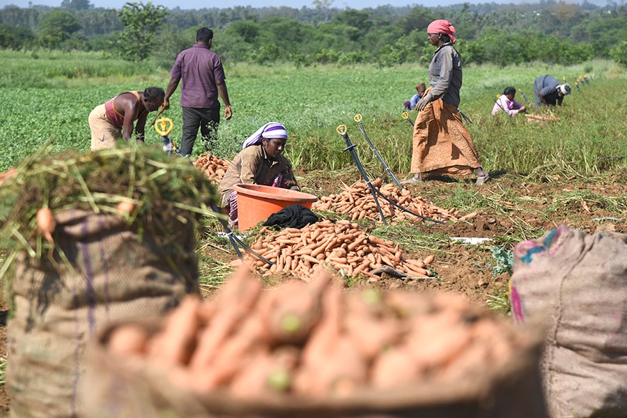 g_112721_agrisectors_hmc_7869_bg_280x210.jpg