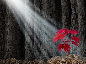 Emerging technology and its impact on business