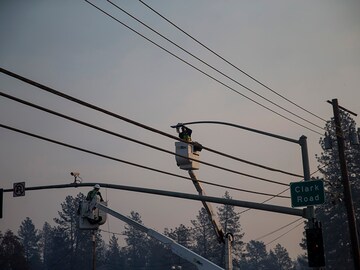 Companies see climate change hitting bottom lines in next five years