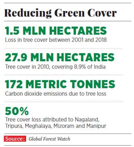 g_117203_reducing_green_cover_280x210.jpg?impolicy=website&width=865&height=577