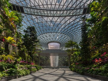 At Singapore's Changi Airport, it's an adventure before your flight departs