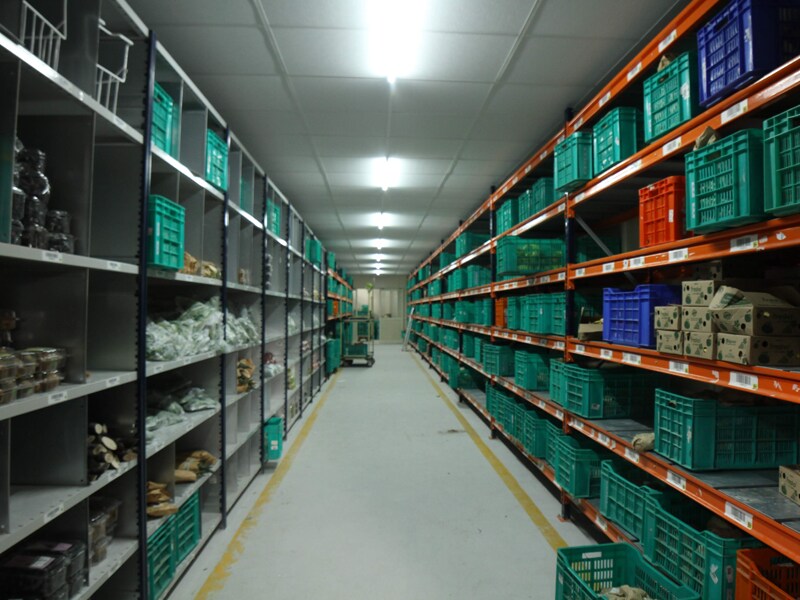 The secret sauce to Bigbasket's 10 million plus on-time deliveries