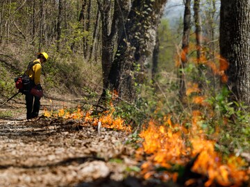 A forecast for a warming world: Learn to live with wildfires