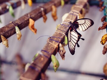 The business case for digital transformation